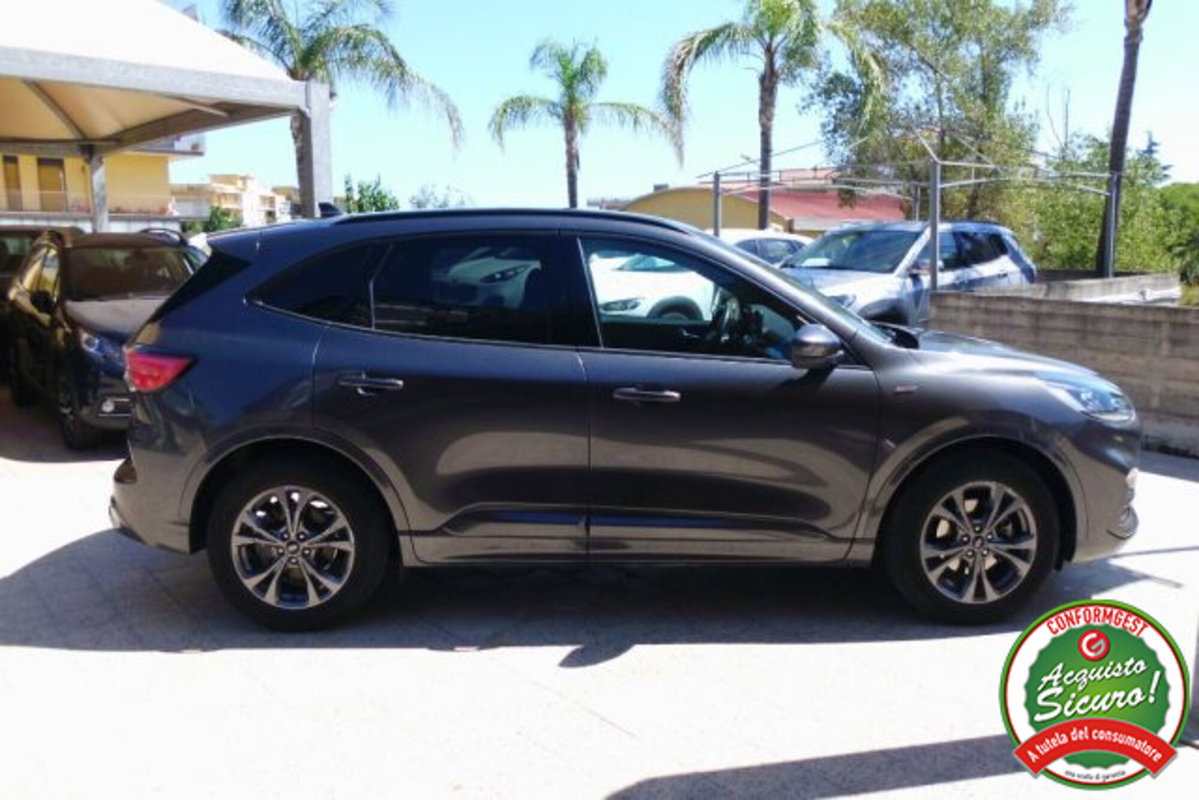 Ford Kuga 1.5 EcoBlue 120 CV 2WD ST-Line (8)