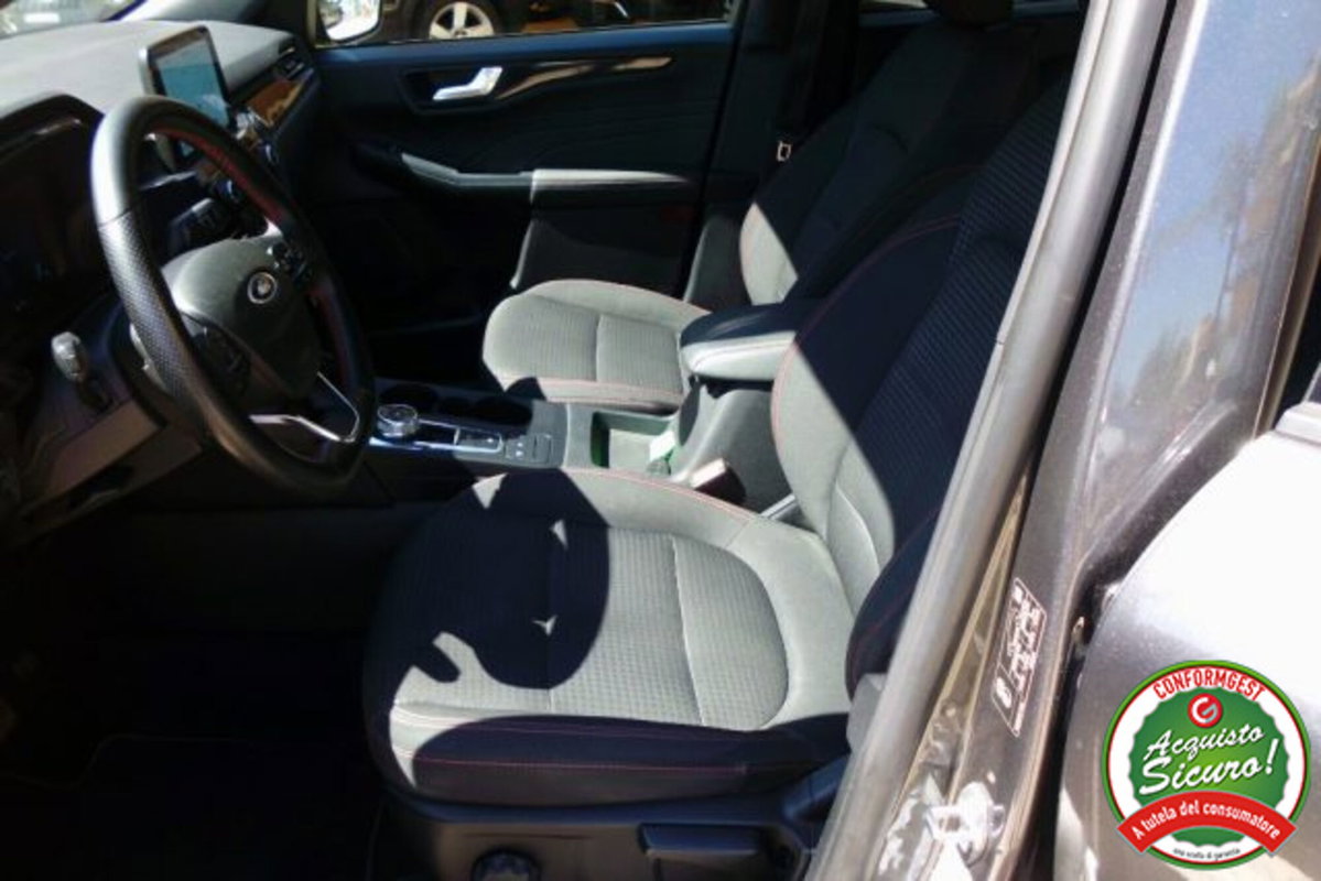 Ford Kuga 1.5 EcoBlue 120 CV 2WD ST-Line (9)