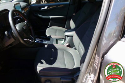 Ford Kuga 1.5 EcoBlue 120 CV 2WD ST-Line (9)