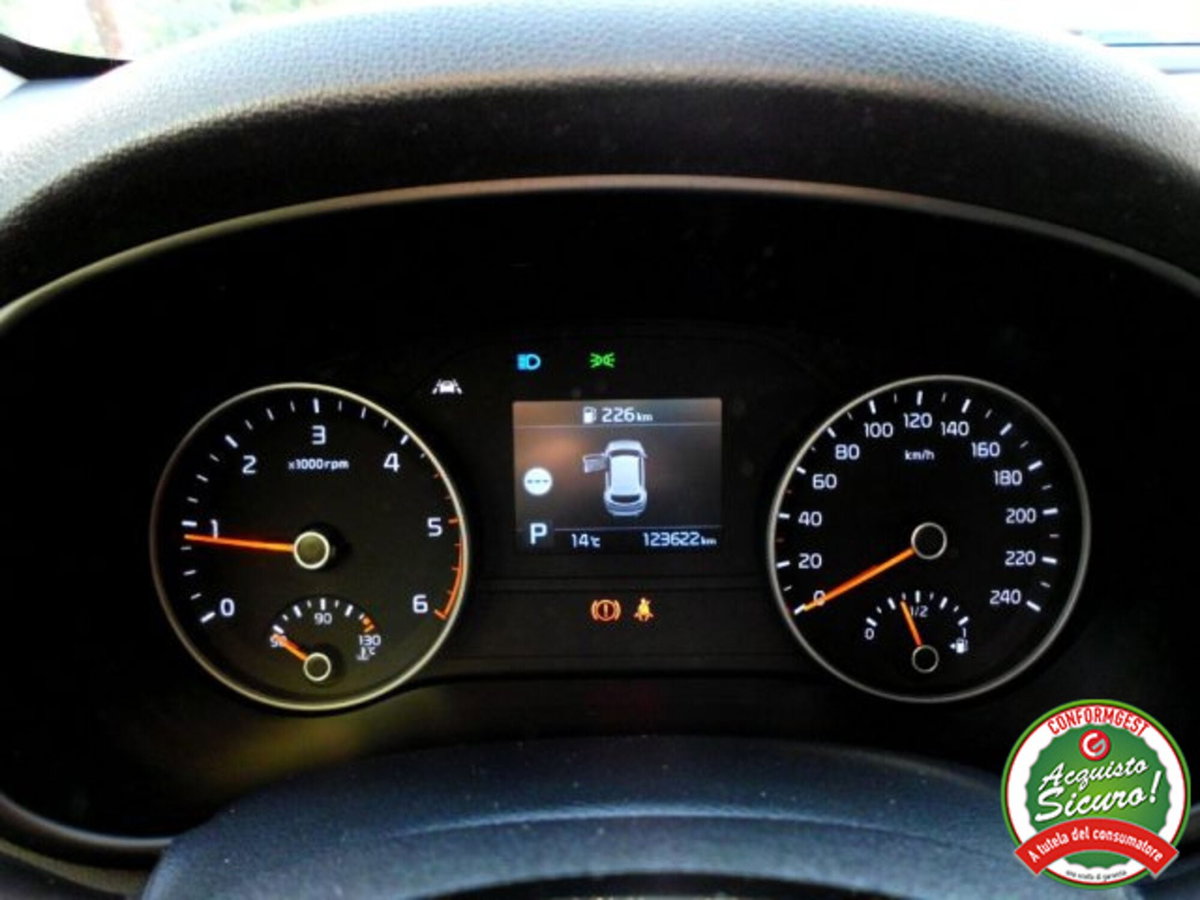 Kia Sportage 1.6 CRDI 136 CV 2WD Mild Hybrid Business Class (18)