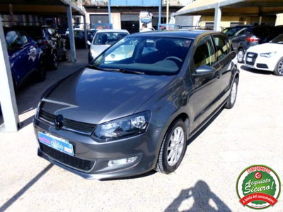 Volkswagen Polo 1.4 TDI 5p. Trendline (3)
