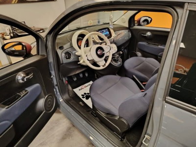 Fiat 500 Cabrio 1.0 Hybrid Cult (12)