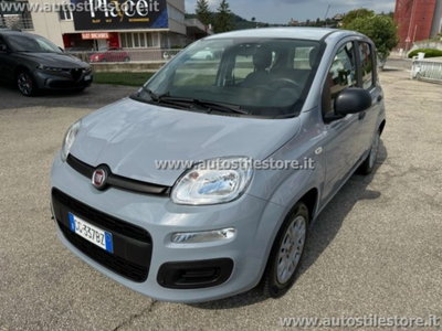 Fiat Panda 1.2 EasyPower Easy usata