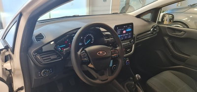 Ford Fiesta 1.5 EcoBlue 5 porte Business High (10)