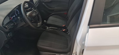 Ford Fiesta 1.5 EcoBlue 5 porte Business High (11)