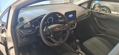 Ford Fiesta 1.5 EcoBlue 5 porte Business High (13)