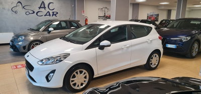 Ford Fiesta 1.5 EcoBlue 5 porte Business High (2)