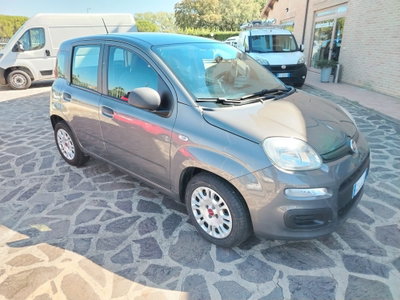 Fiat Panda 1.0 FireFly S&S Hybrid usata