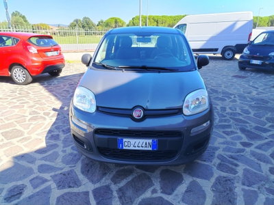 Fiat Panda 1.0 FireFly S&S Hybrid (2)
