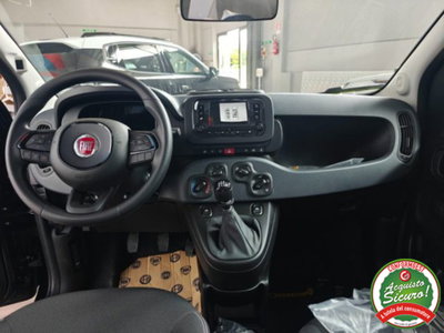 Fiat Pandina 1.0 firefly hybrid Icon s&s 65cv (10)