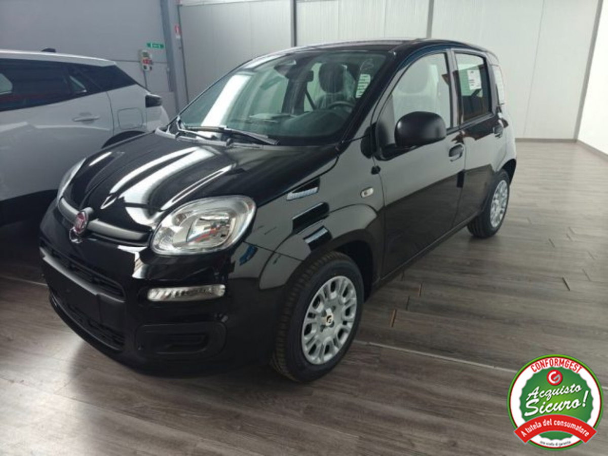 Fiat Pandina 1.0 firefly hybrid Icon s&s 65cv (2)