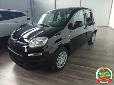 Fiat Pandina 1.0 firefly hybrid Icon s&s 65cv (2)