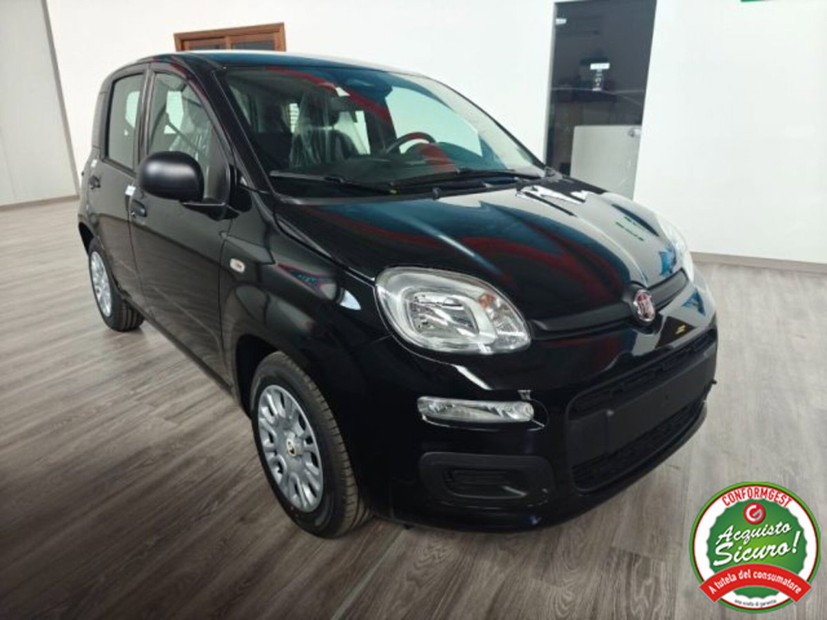 Fiat Pandina 1.0 firefly hybrid Icon s&s 65cv (3)