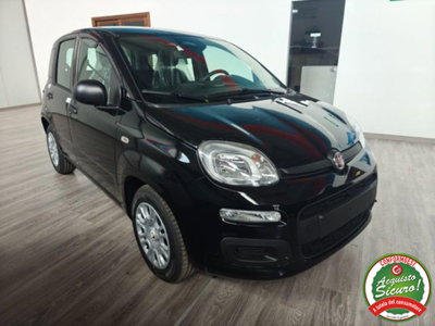 Fiat Pandina 1.0 firefly hybrid Icon s&s 65cv (3)