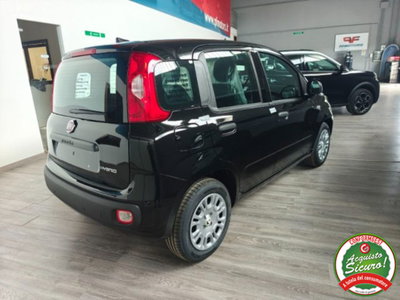 Fiat Pandina 1.0 firefly hybrid Icon s&s 65cv (5)