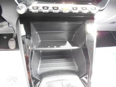 Peugeot 208 PureTech 100 Stop&Start 5 porte GT (17)