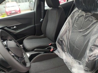 Peugeot 2008 1.2 puretech Style s&s 100cv (19)