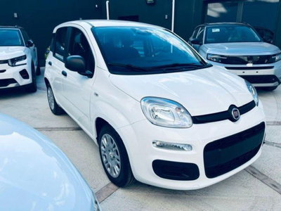 Fiat Pandina 1.0 firefly hybrid Icon s&s 65cv (2)