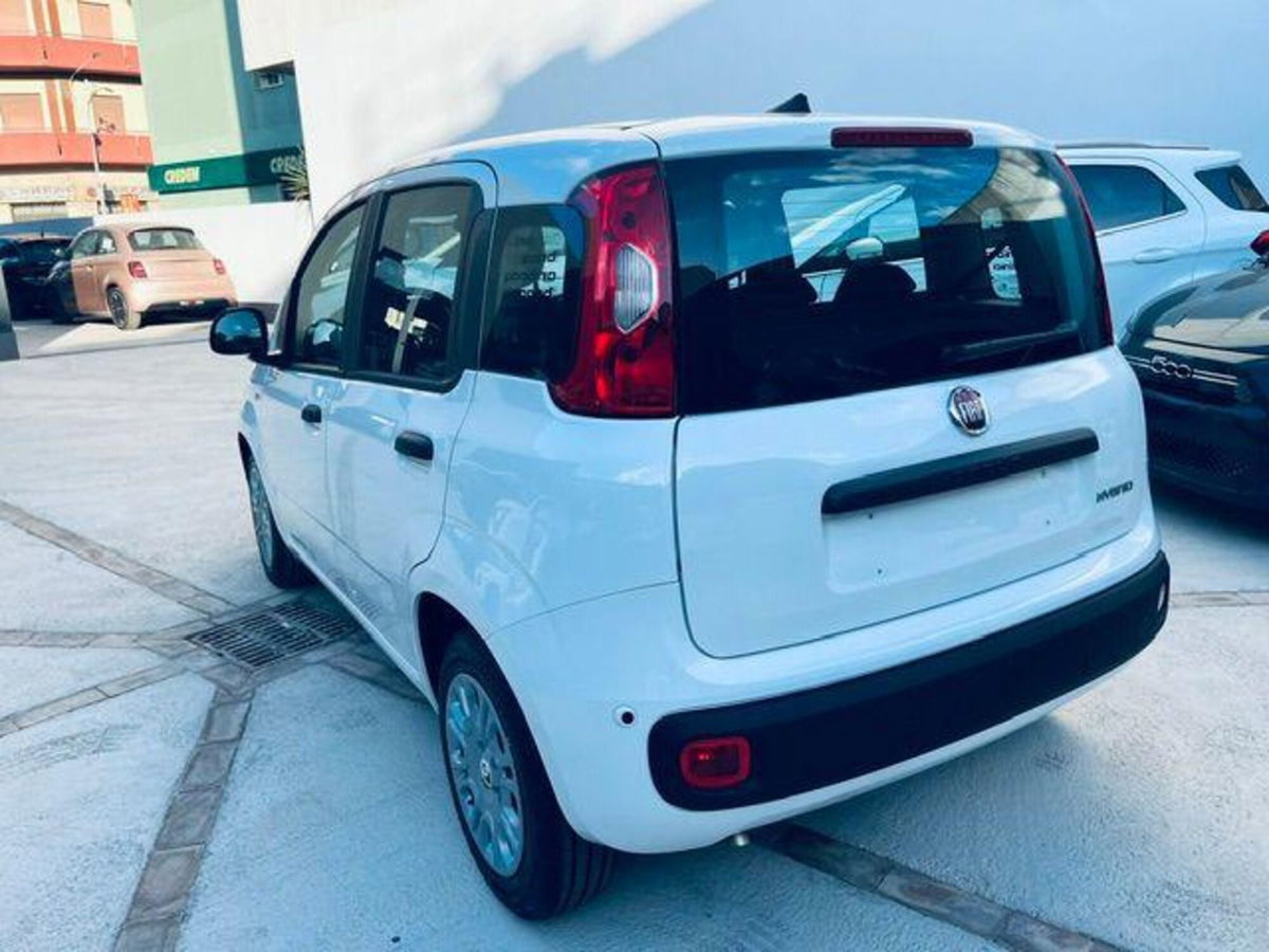 Fiat Pandina 1.0 firefly hybrid Icon s&s 65cv (4)