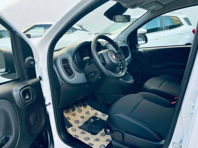 Fiat Pandina 1.0 firefly hybrid Icon s&s 65cv (9)