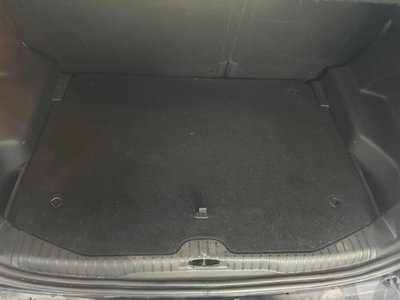 Citroen C3 Picasso 1.6 HDi 90 Exclusive Theatre (19)