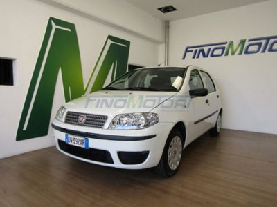 Fiat Punto Classic 1.2 5 porte Active usata
