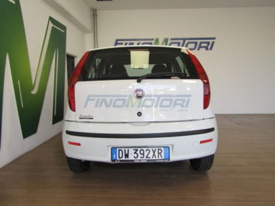 Fiat Punto Classic 1.2 5 porte Active (13)