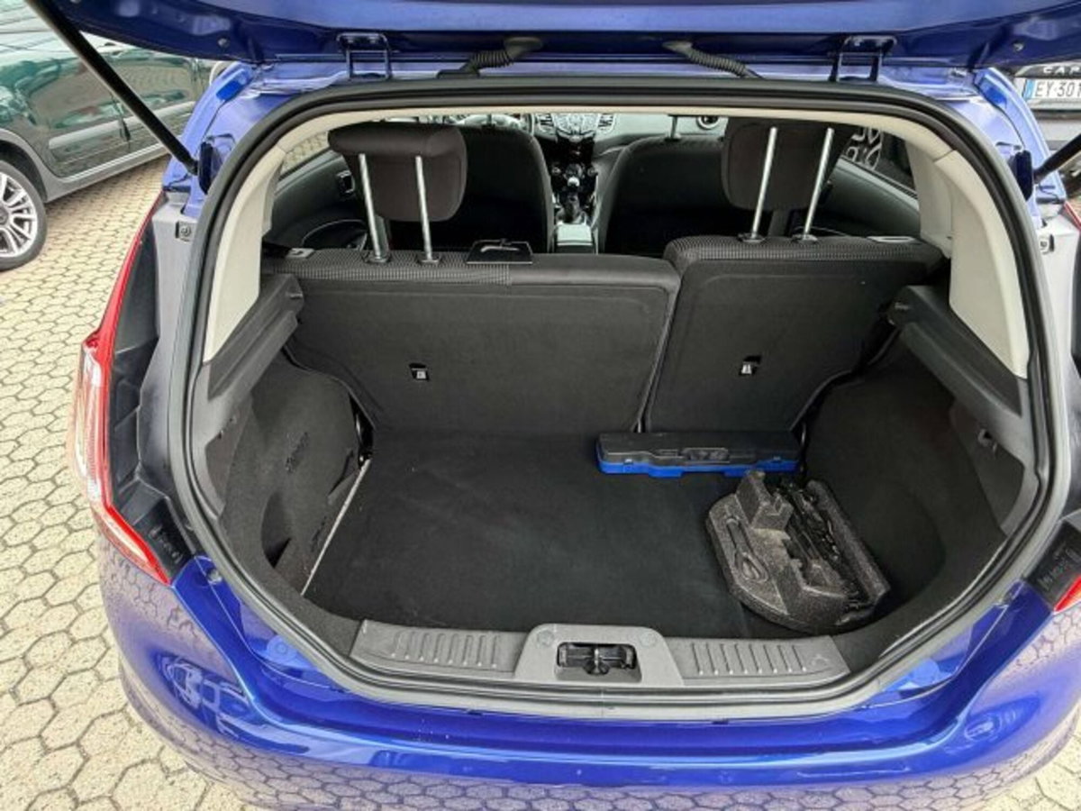 Ford Fiesta Plus 1.4 5 porte Bz.- GPL (15)