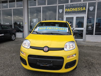 Fiat Panda 1.0 FireFly S&S Hybrid nuova