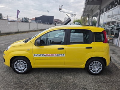 Fiat Panda 1.0 FireFly S&S Hybrid (3)