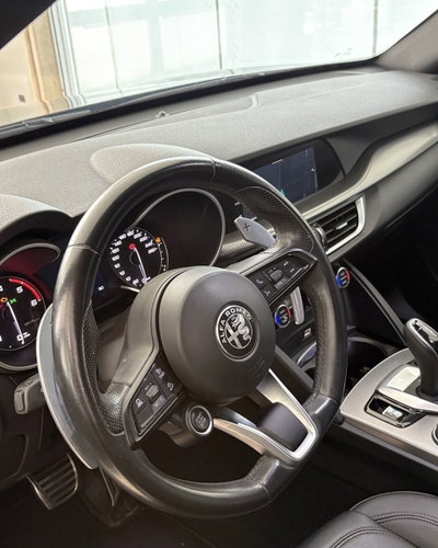 Alfa Romeo Stelvio Stelvio 2.2 Turbodiesel 190 CV AT8 Q4 Super Business (5)