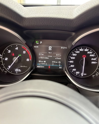 Alfa Romeo Stelvio Stelvio 2.2 Turbodiesel 190 CV AT8 Q4 Super Business (9)