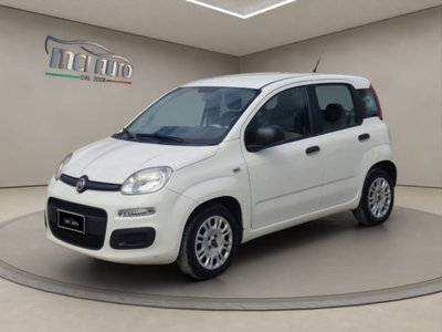 Fiat Panda 1.2 Easy usata