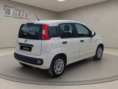 Fiat Panda 1.2 Easy (5)
