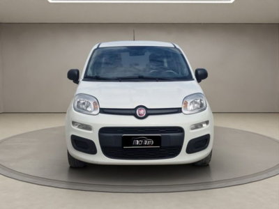 Fiat Panda 1.2 Easy (8)