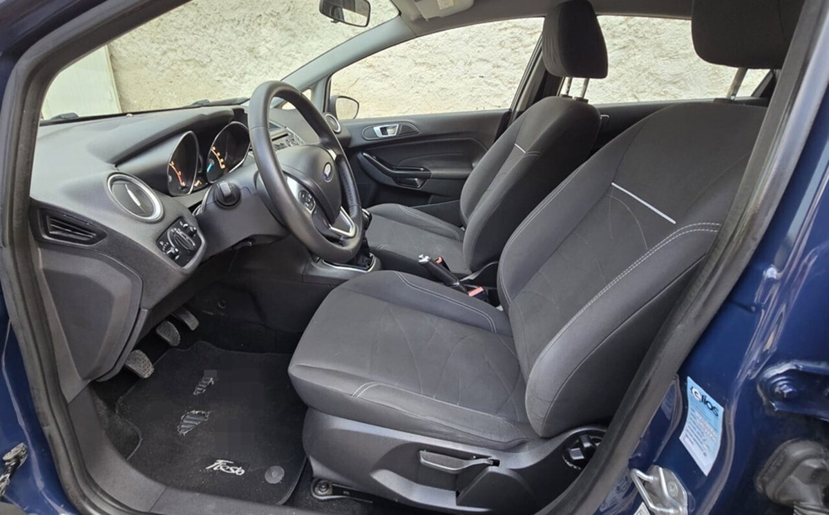 Ford Fiesta 1.4 5 porte Bz.- GPL Business N1 (12)