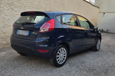 Ford Fiesta 1.4 5 porte Bz.- GPL Business N1 (3)