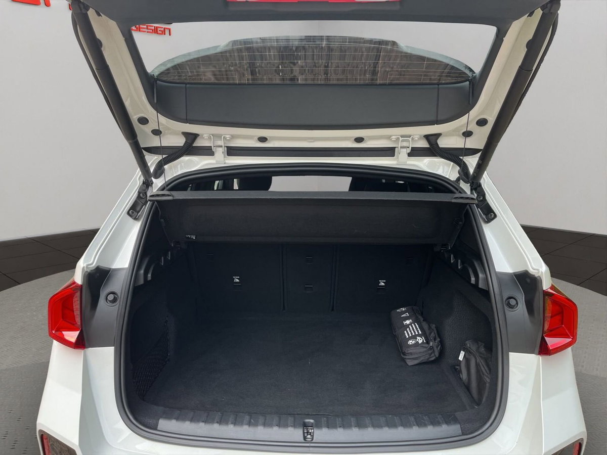 BMW X1 sdrive18d MSport auto (7)