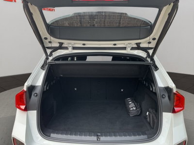 BMW X1 sdrive18d MSport auto (7)