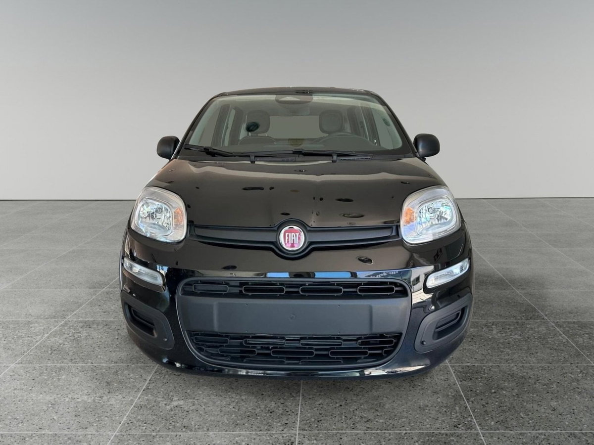 Fiat Panda Cross Cross 1.0 FireFly S&S Hybrid (2)