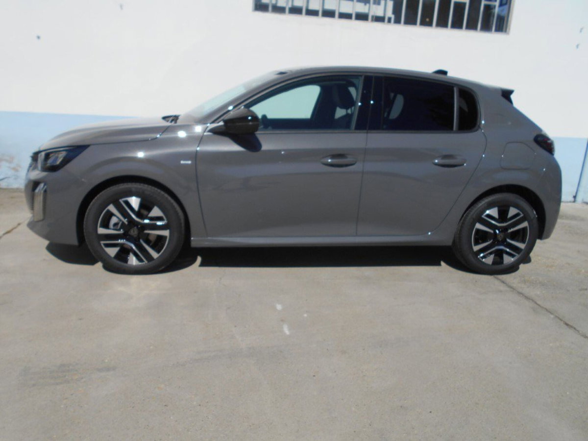 Peugeot 208 PureTech 100 Stop&Start 5 porte Allure (3)