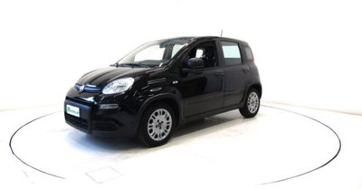 Fiat Panda 1.0 firefly hybrid s&s 70cv 5p.ti (16)
