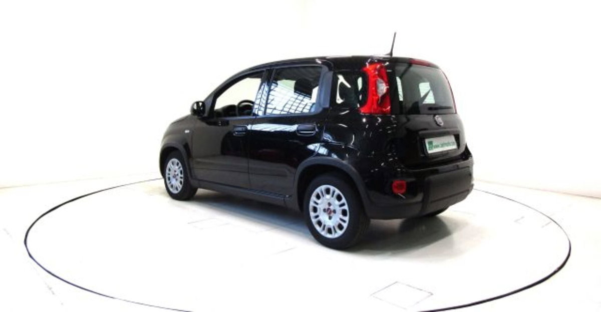 Fiat Panda 1.0 firefly hybrid s&s 70cv 5p.ti (19)