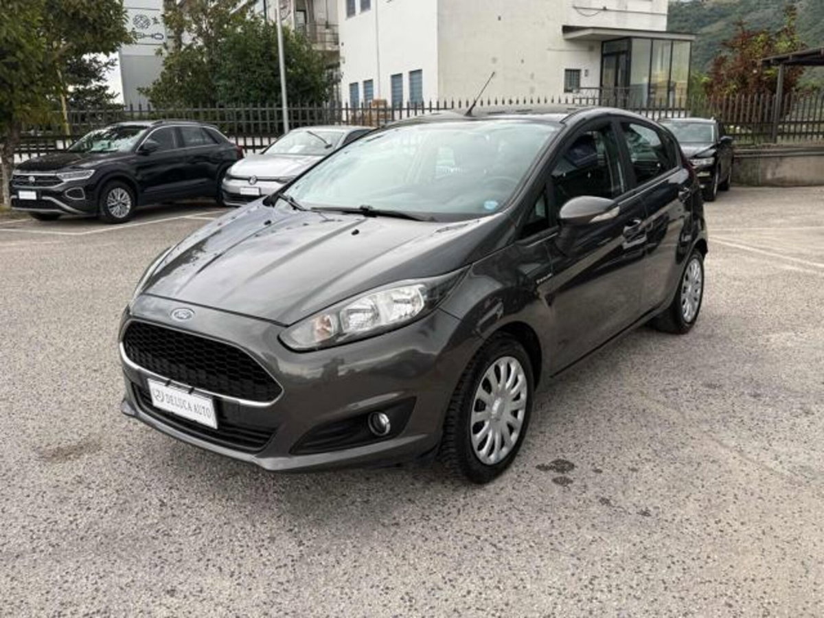 Ford Fiesta 1.5 TDCi 75CV 5 porte Titanium (3)
