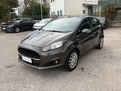 Ford Fiesta 1.5 TDCi 75CV 5 porte Titanium (3)