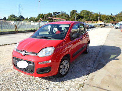 Fiat Panda 1.2 Pop usata