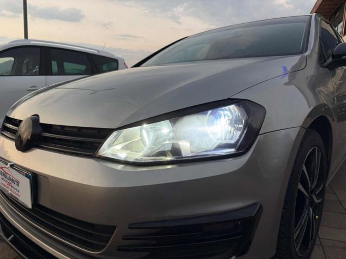 Volkswagen Golf 1.6 TDI DPF 5p. Trendline (18)