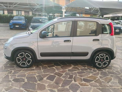 Fiat Panda 1.0 firefly hybrid s&s 70cv 5p.ti (6)