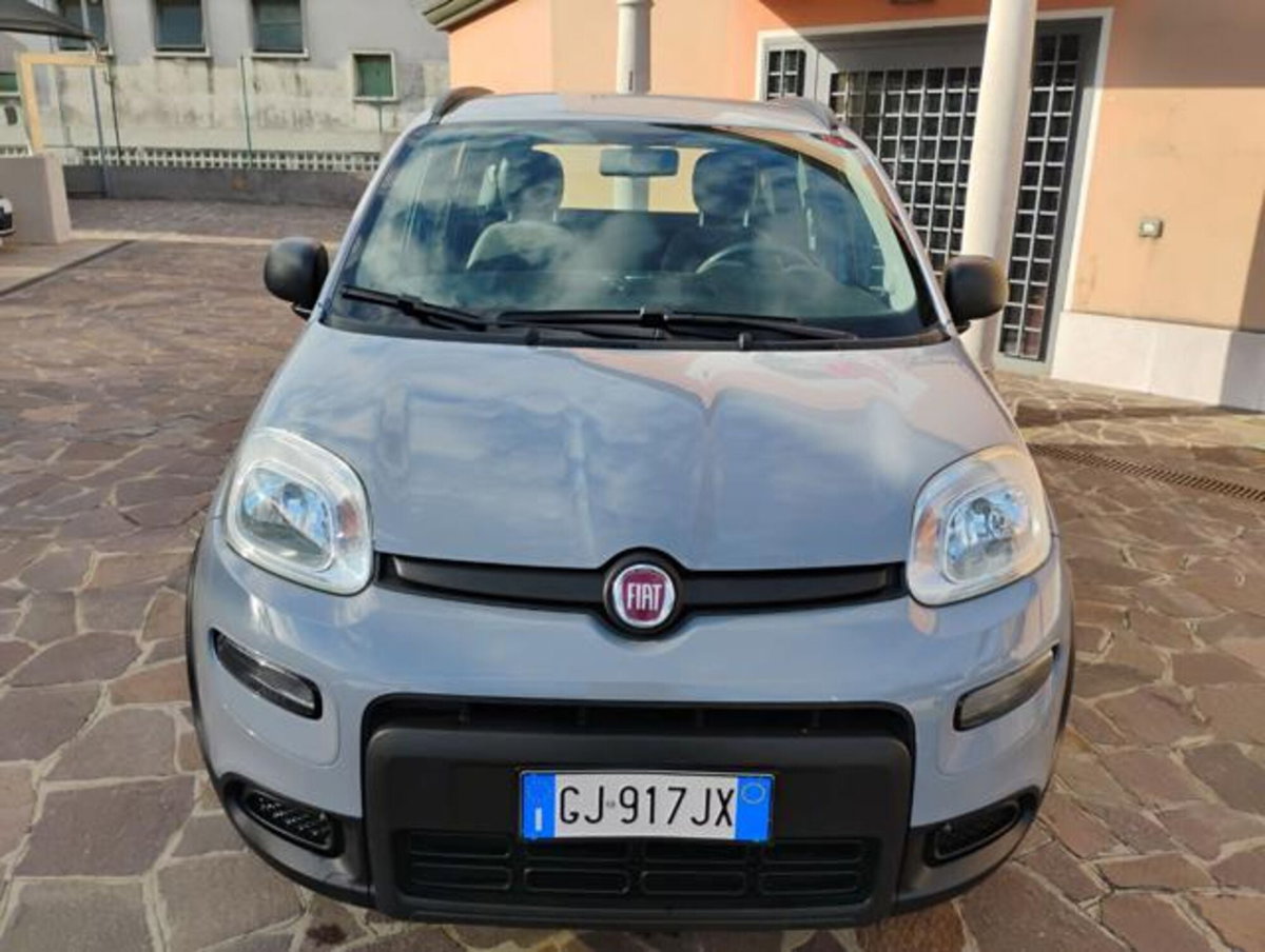 Fiat Panda 1.0 firefly hybrid s&s 70cv 5p.ti (8)