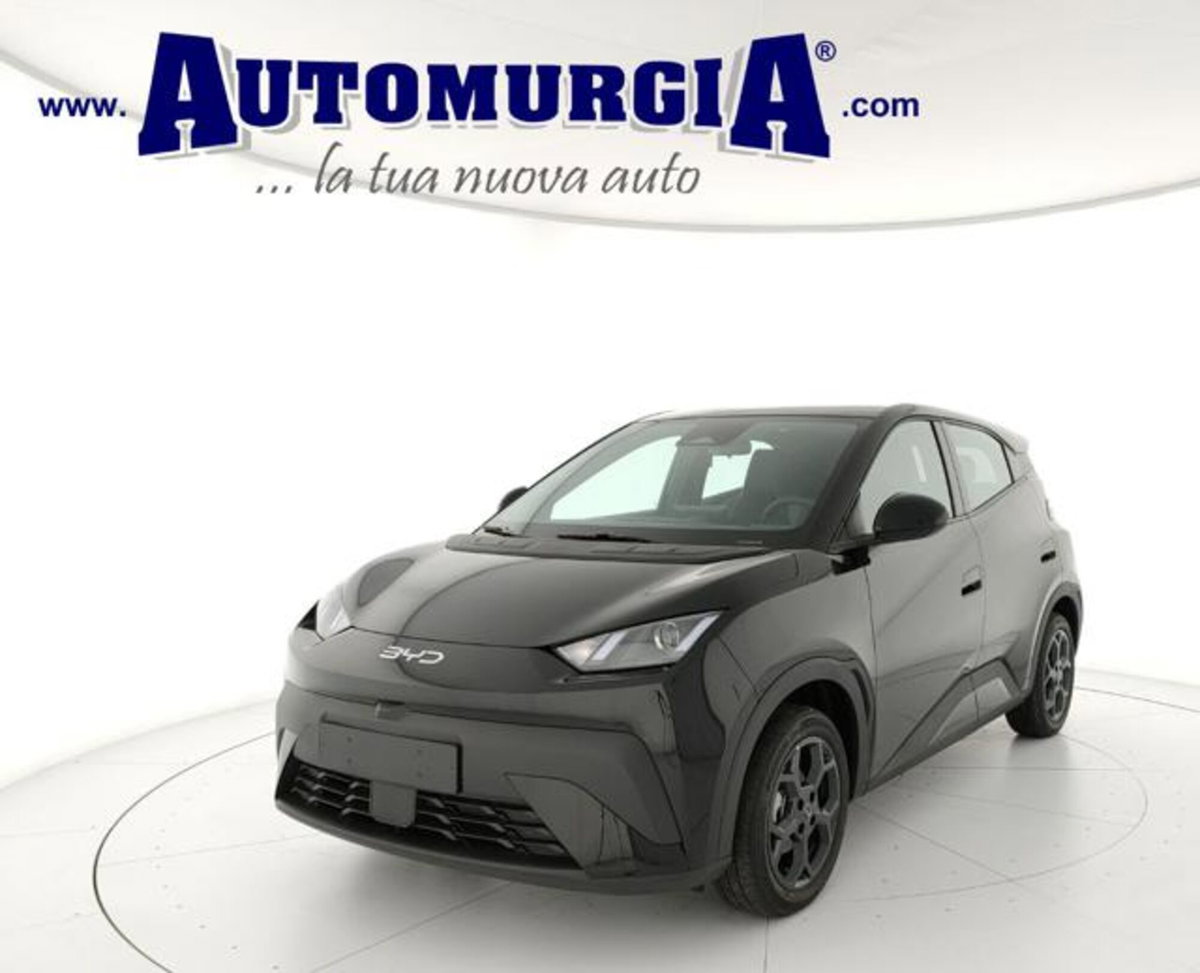 Byd Dolphin Surf 43,2 kWh Boost (2)